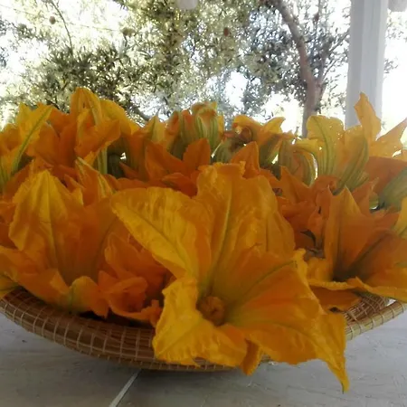 Vakantiehuis Vacanza In Otranto