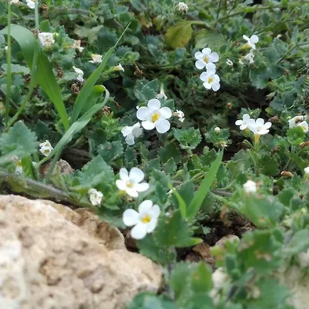 Vacanza In Otranto